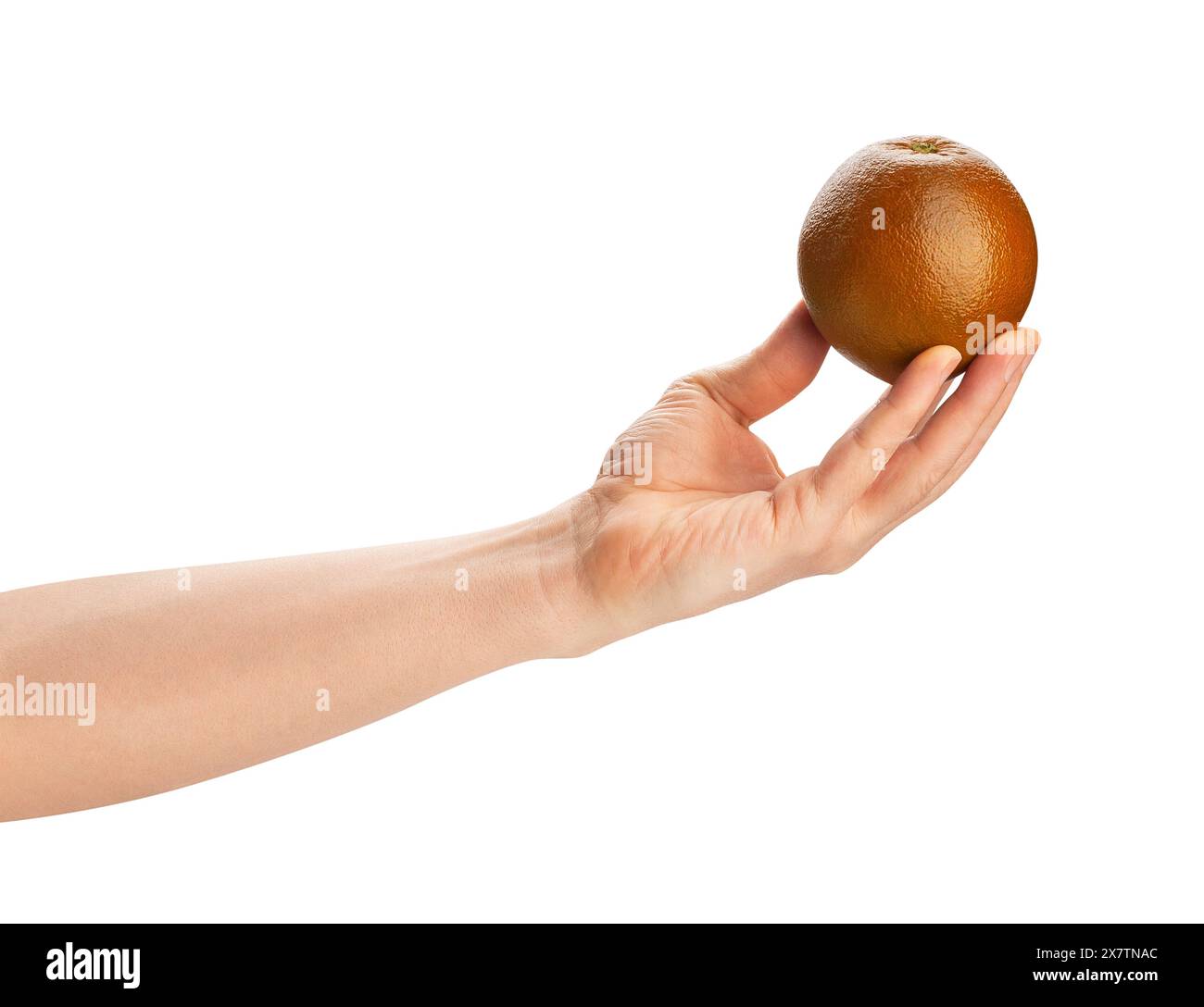 chocolate orange in hand path isolated on white Stock Photo