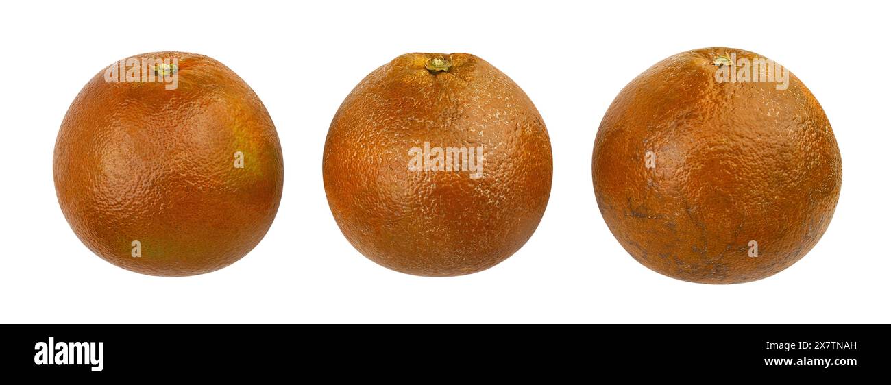 chocolate oranges path isolated on white Stock Photo