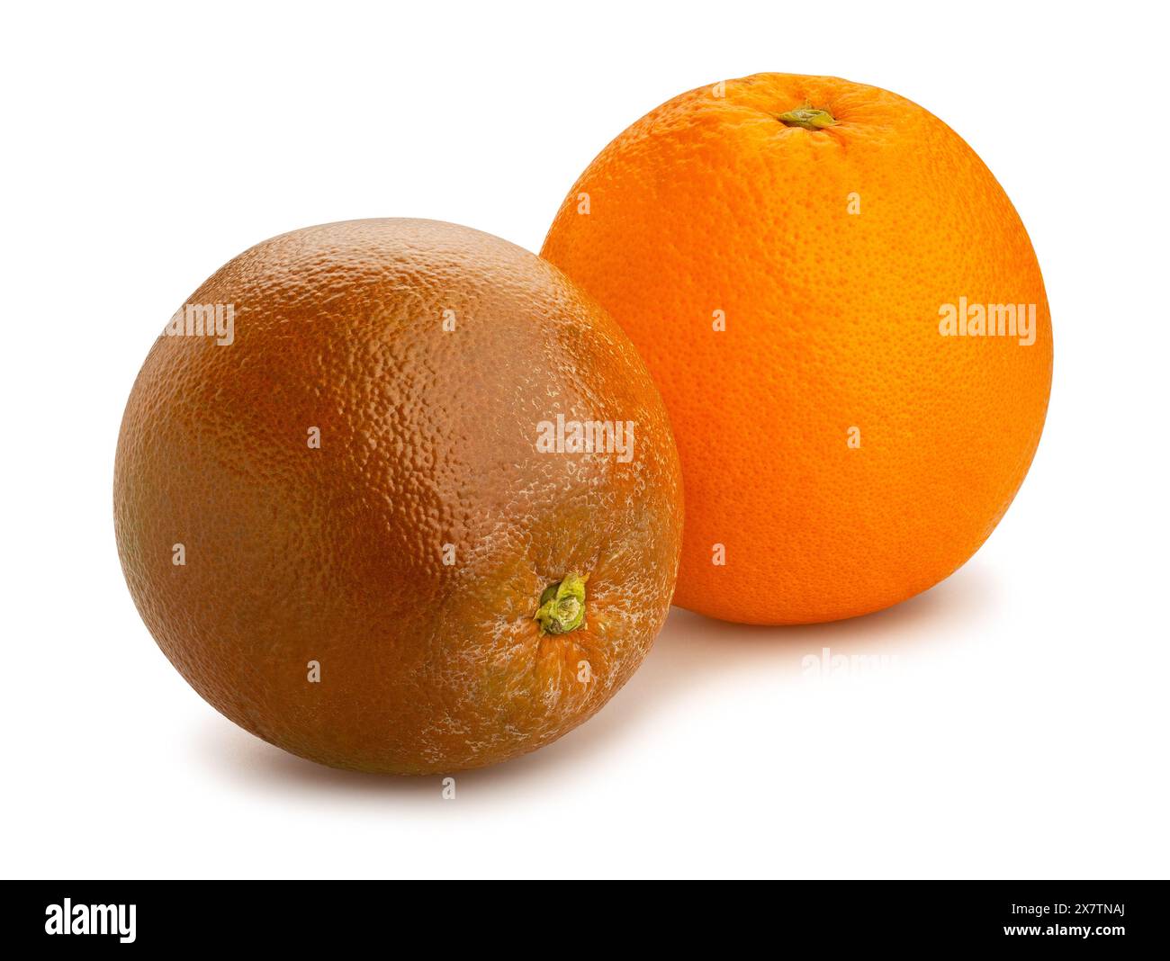 chocolate oranges mix path isolated on white Stock Photo