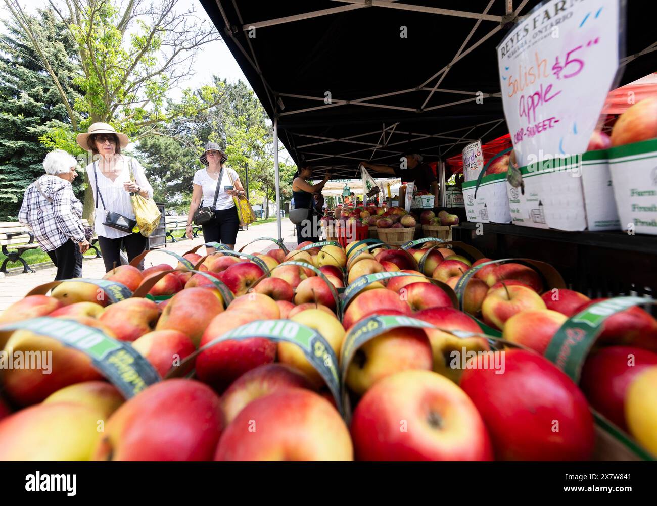 Toronto, Canada. 21st May, 2024. People visit a farmers' market in Toronto, Canada, on May 21, 2024. Canada's Consumer Price Index (CPI) rose 2.7 percent on a year-over-year basis in April, down from a 2.9 percent gain in March, Statistics Canada said Tuesday. Credit: Zou Zheng/Xinhua/Alamy Live News Stock Photo
