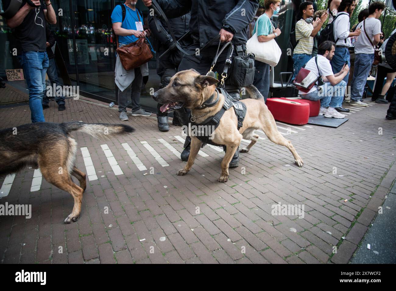 Amsterdam,The Netherlands,13th of may 2024.Pro palestine protests