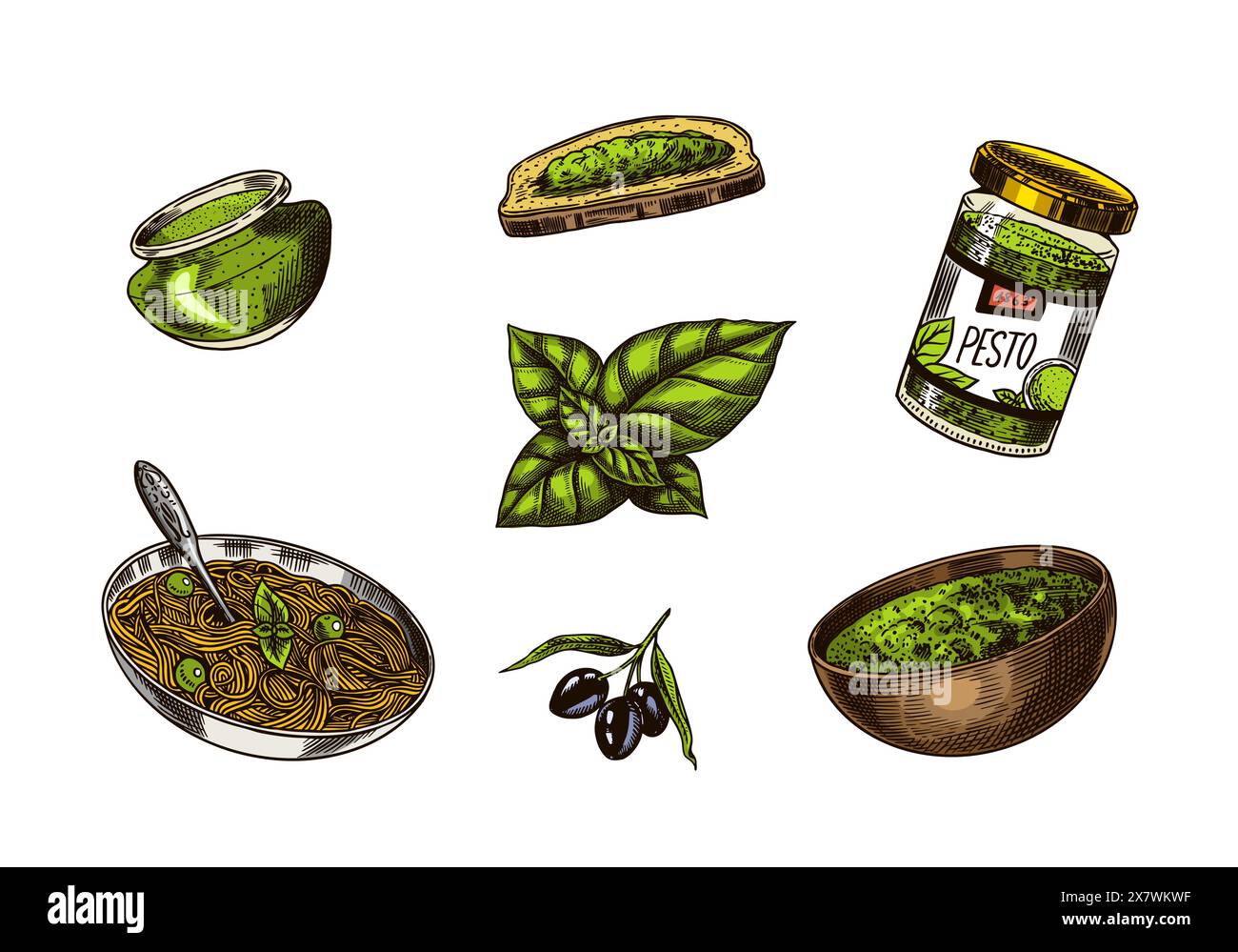 Pesto sauce set. Basil leaves, garlic, pine nuts, hard parmesan cheese, olive oil, pesto alla genovese. Spicy condiment, glass bottle, wooden spoon or Stock Vector