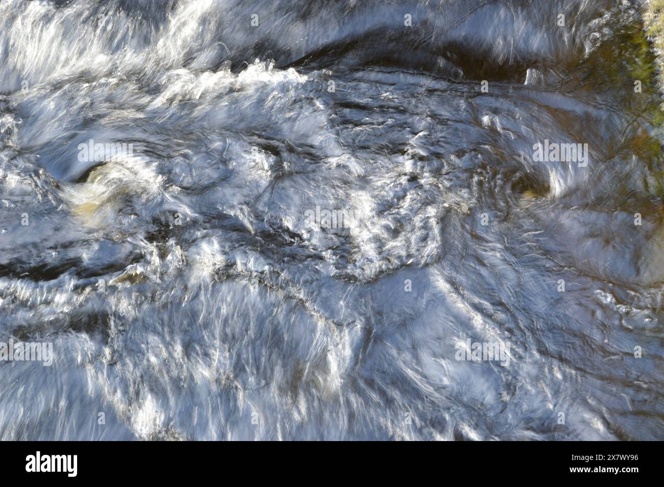 Abstract patterns made by swirl of salmon jumping up the fish ladder Pitlochry,Perthshire