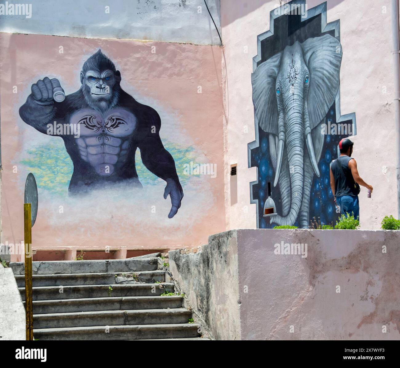Mural paintings on buildings in Havana, Cuba. Stock Photo