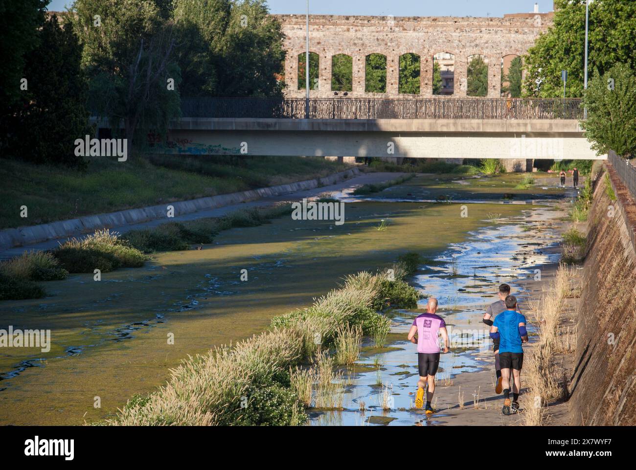 Merida, Spain - May 18th, 2024: FarinatoRace Merida 2024, Participants ...