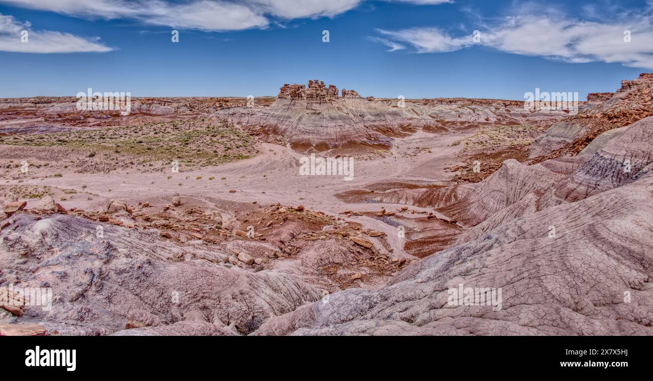 Tall hoodoo towers in the valley below Blue Mesa in Petrified Forest National Park Arizona. Stock Photo