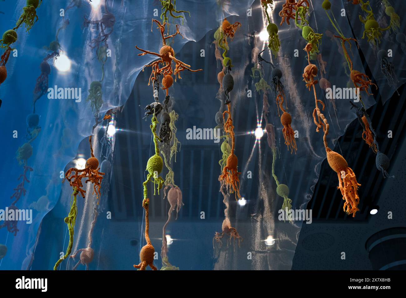 Knitted neurons, Hello Brain!, exhibition, Manby Gallery, Francis Crick Institute, London, England, U.K Stock Photo