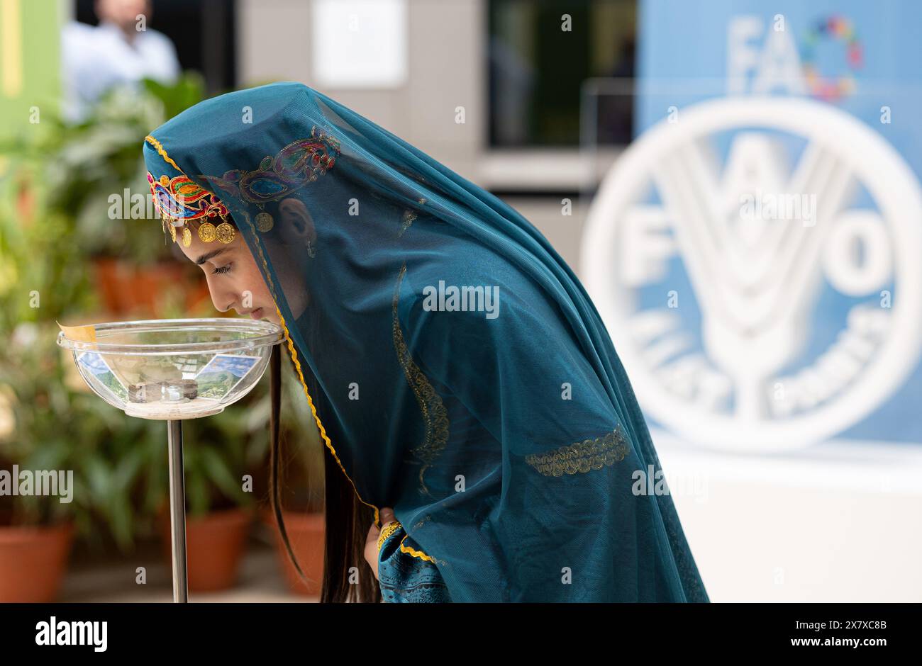 Rome, Italy. 21st May, 2024. An Azerbaijani visitor smells Chinese tea during an International Tea Day celebration event in the headquarters of United Nations Food and Agriculture Organization in Rome, Italy, May 21, 2024. The United Nations Food and Agriculture Organization hosted an event at its headquarters in Italy's capital Rome, focusing on the crucial role women played in the tea industry and approaches to help them overcome the challenges they face. Credit: Li Jing/Xinhua/Alamy Live News Stock Photo