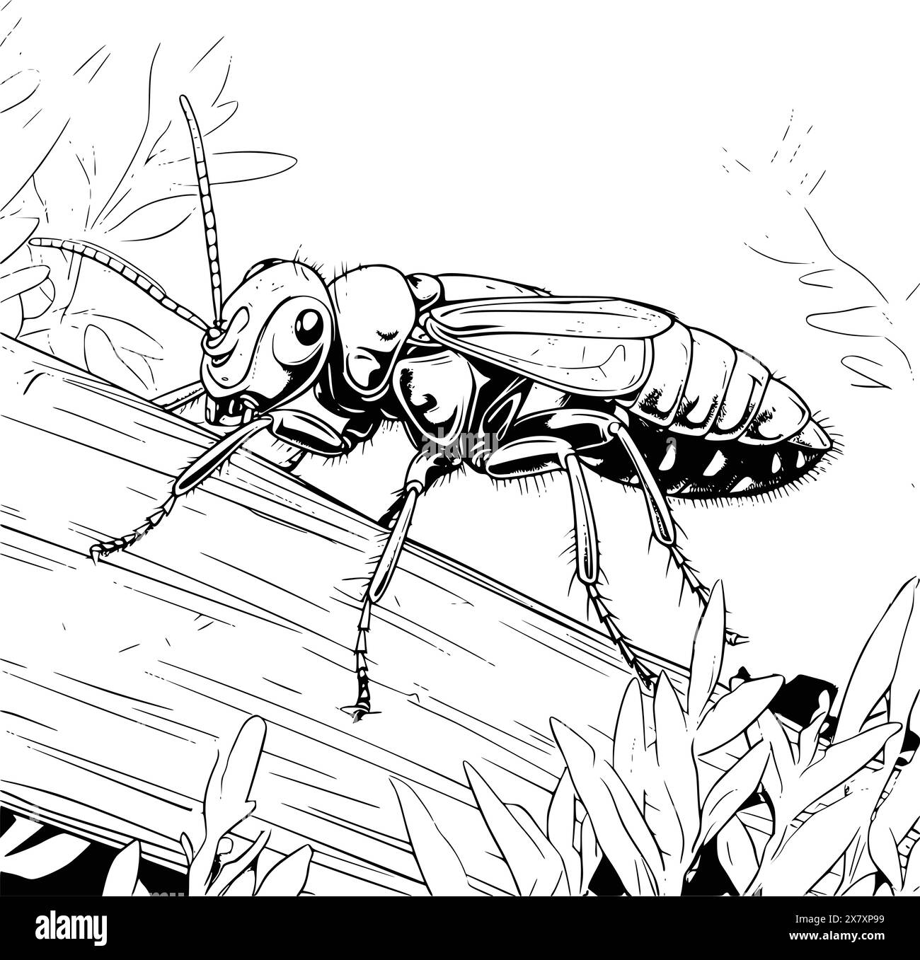 Earwigs Coloring Page for Kids Stock Vector