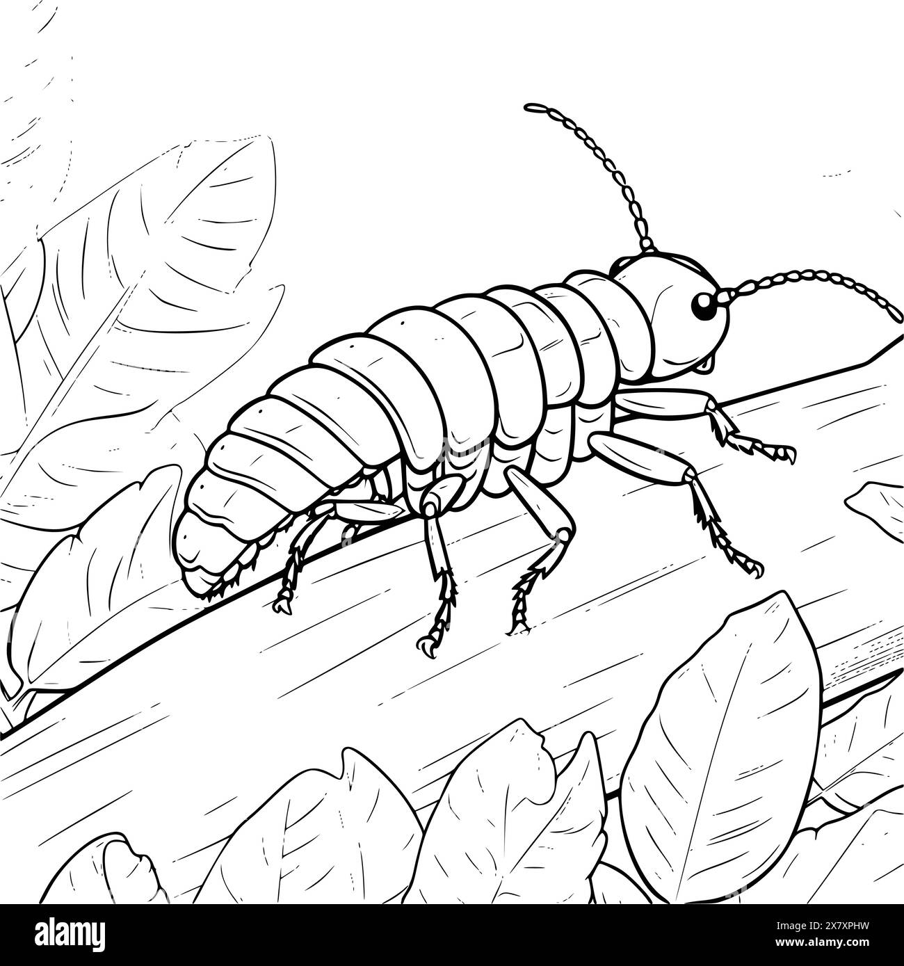 Earwigs Coloring Page for Kids Stock Vector