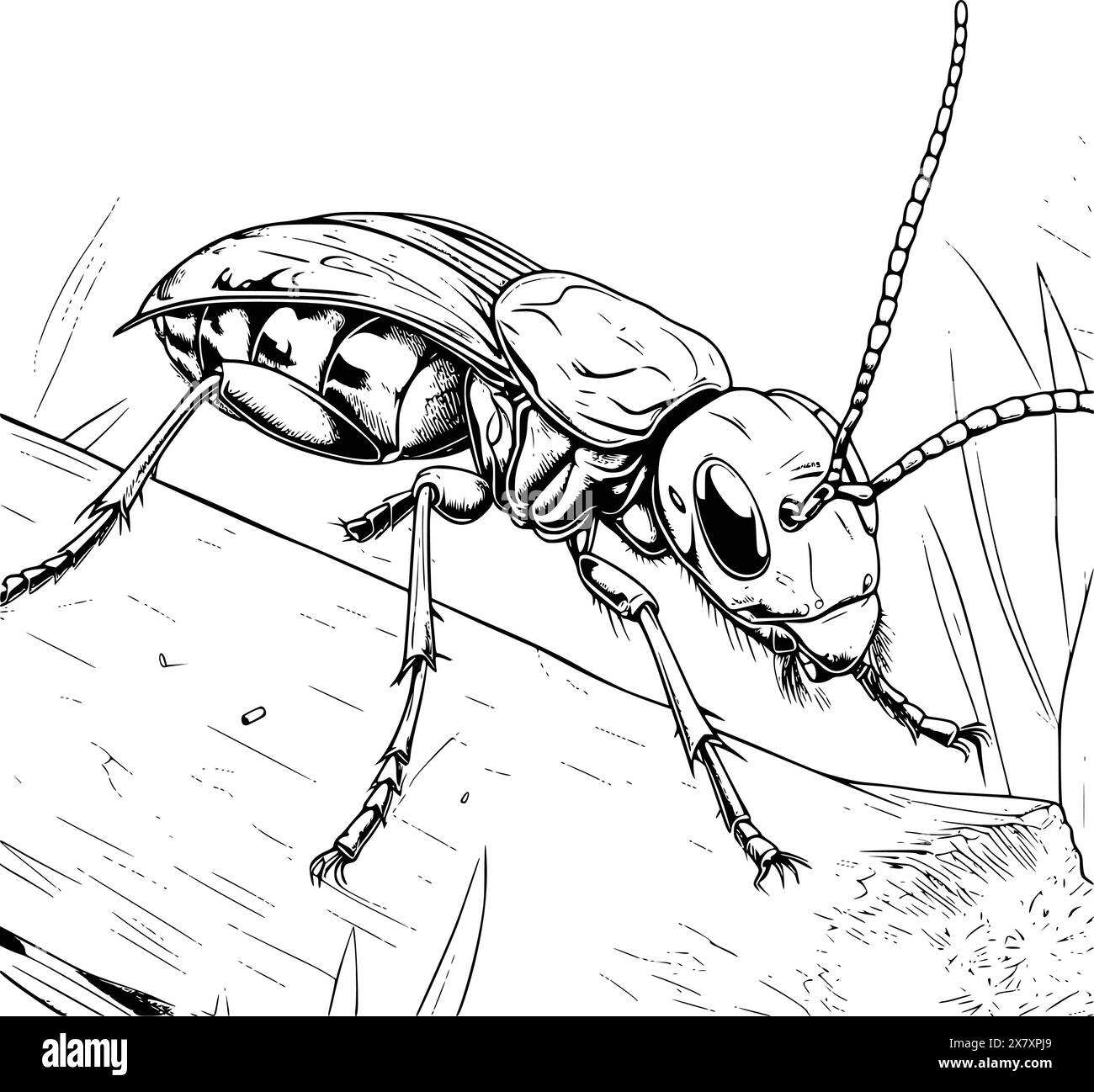 Earwigs Coloring Page for Kids Stock Vector