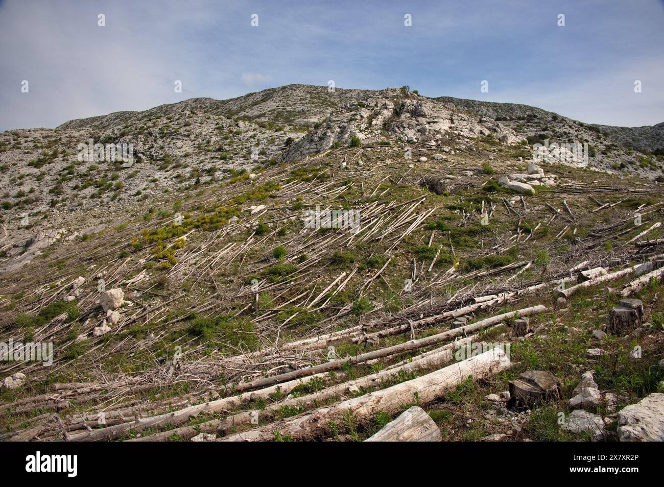 Mediterranean mountain landscape with downed trees Stock Photo