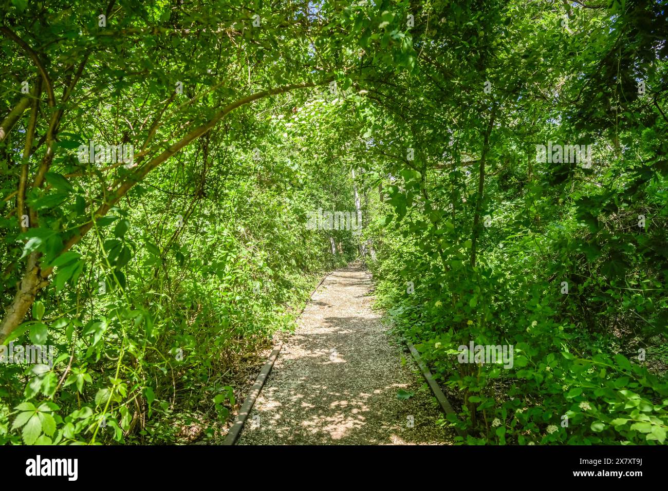 54+ Anmeldung Gartenanlage Südgelände, Information on opening