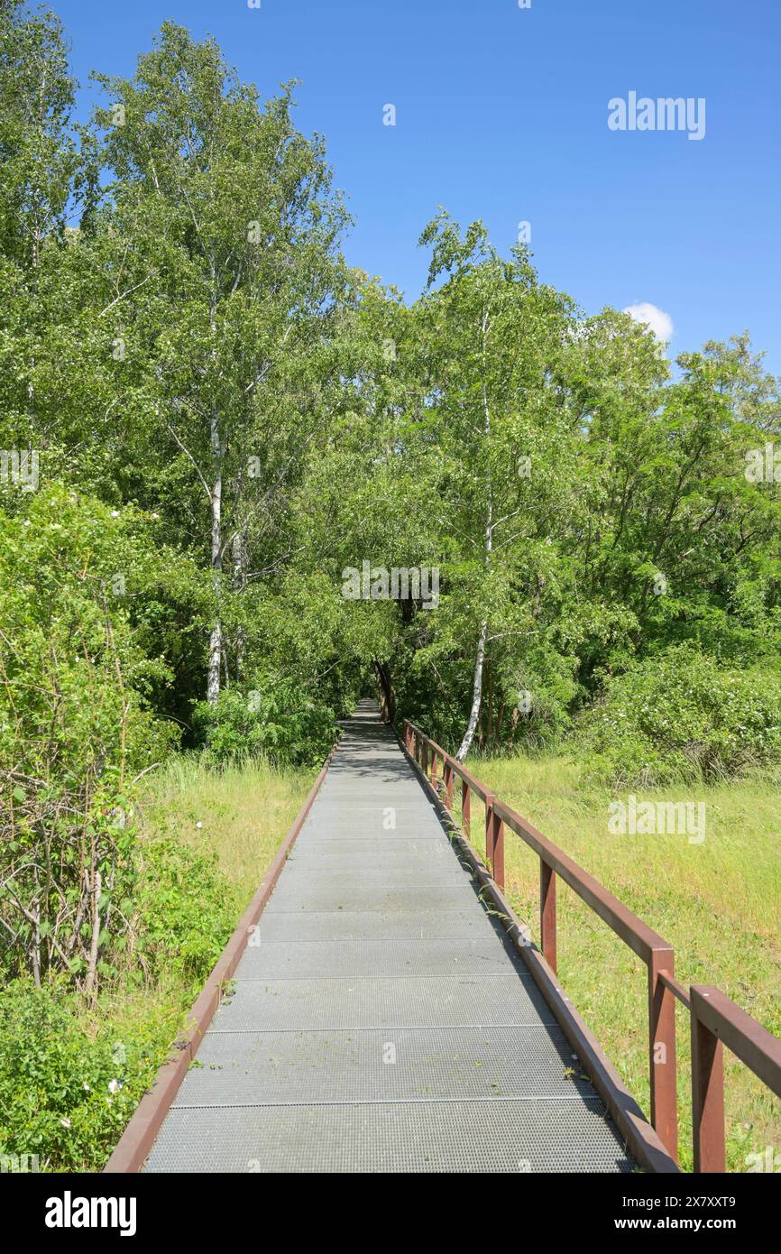 Stegweg, Naturpark Schöneberger Südgelände, Prellerweg, Schöneberg