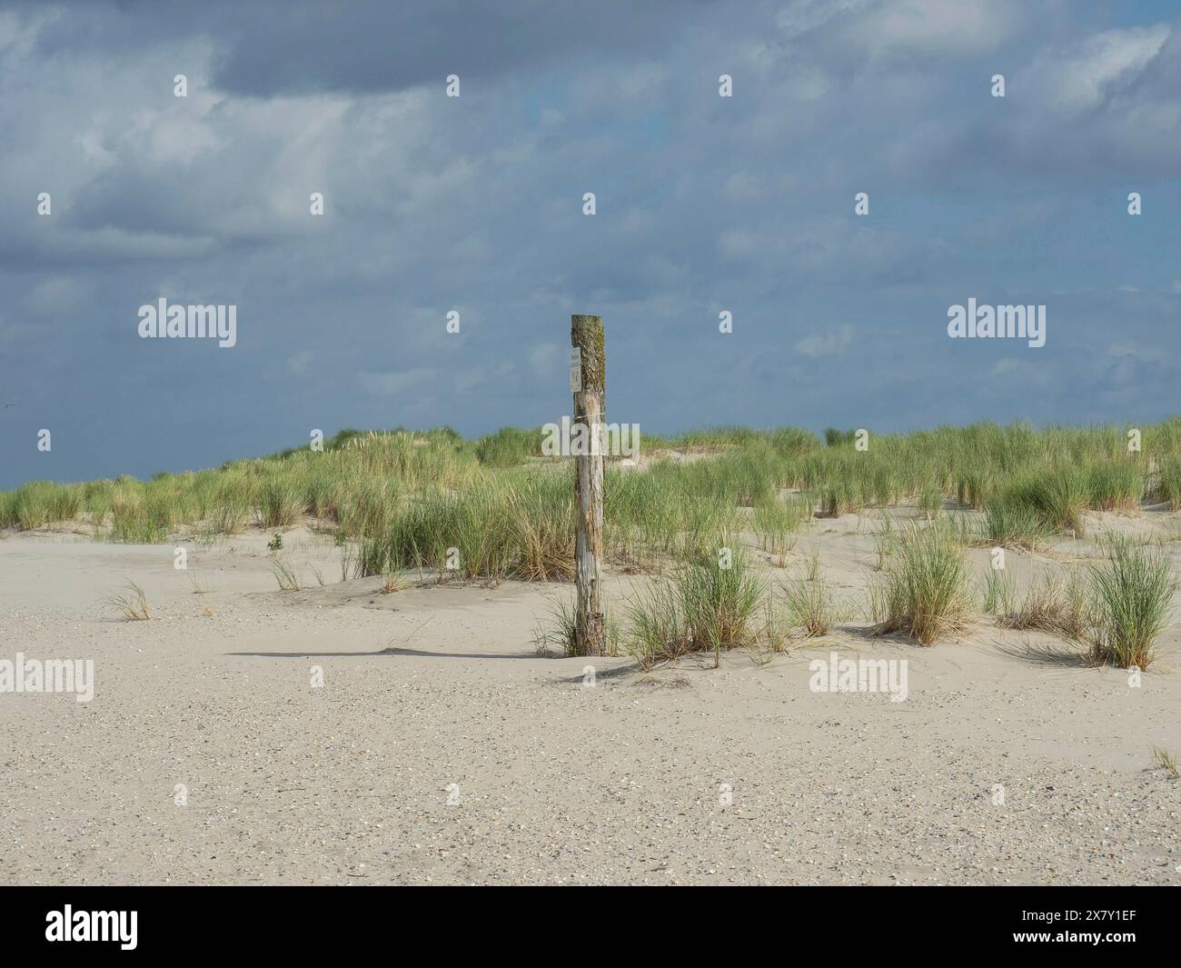 Sand dune landscape with tufts of grass and a weather post under a cloudy sky, lonely beach with dune grass in the neighbouring dune and marker post, Stock Photo