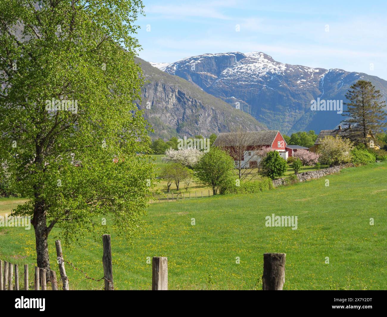 An idyllic farm with a red barn in a green valley surrounded by snow ...