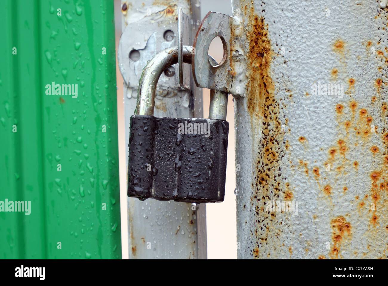 Small closed padlock hanging on the hinges Stock Photo