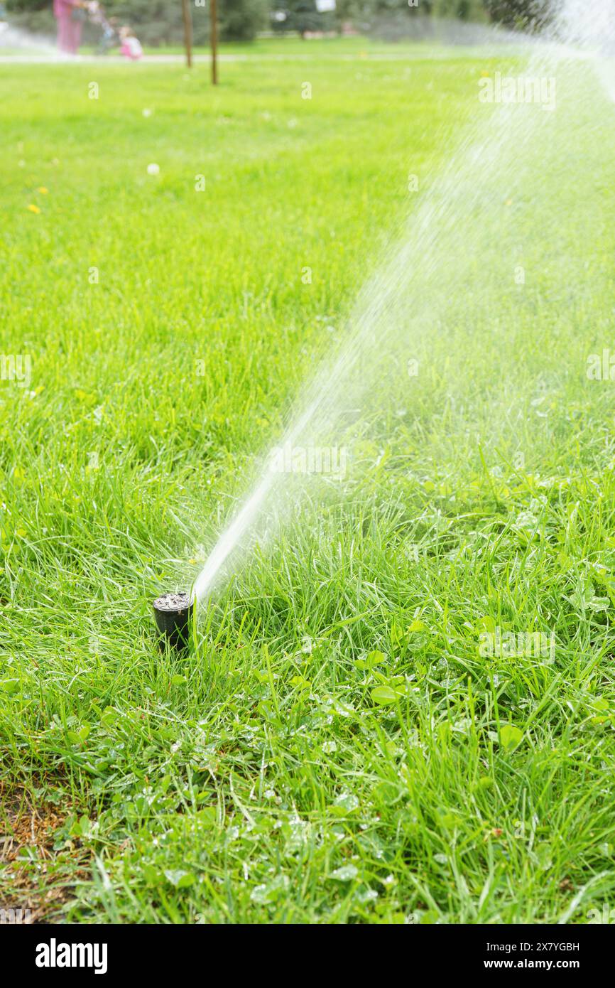 Automatic smart lawn sprinkler watering green lawn grass in sunny day ...