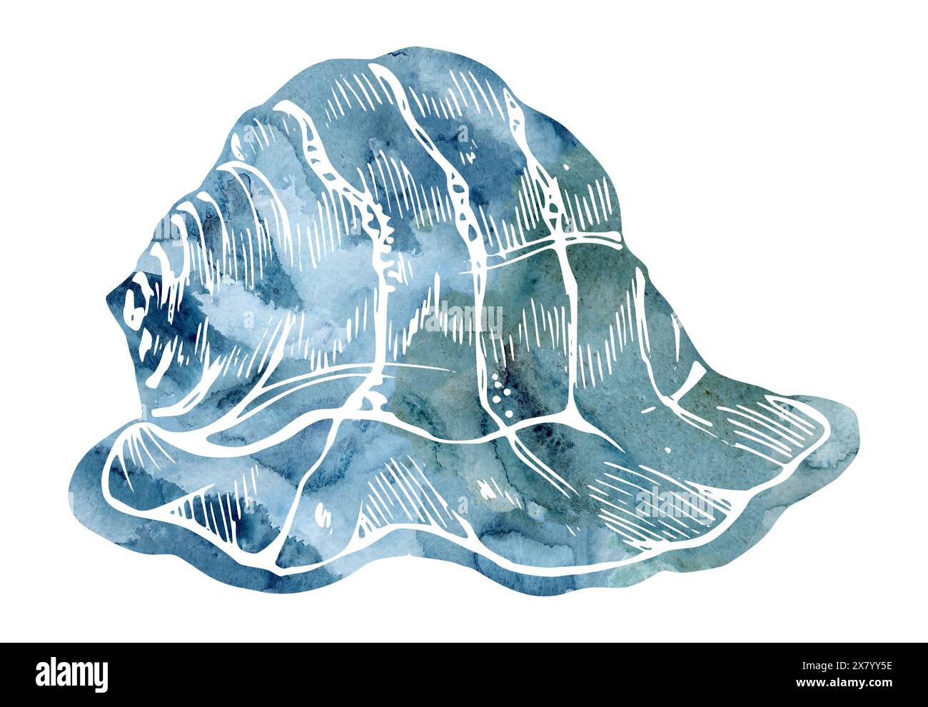 Watercolor and ink hand drawn marine life, sea ocean underwater creatures. fish, shells algae seaweed. Single object illustration, stylized, isolated Stock Photo