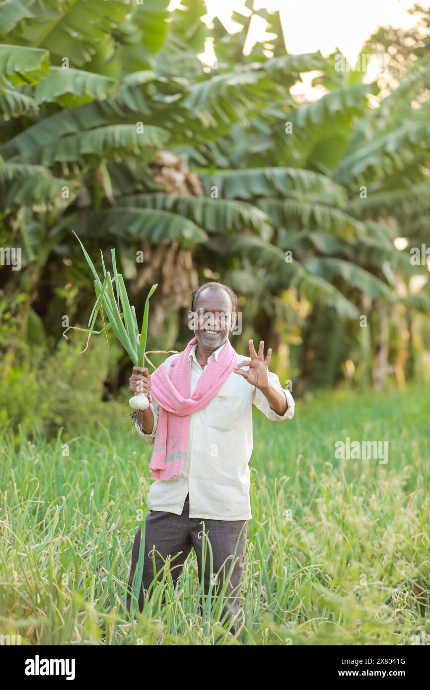 Onion harvesting modern agricultural hi-res stock photography and ...