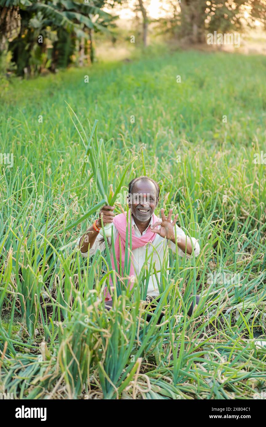 Onion harvesting modern agricultural hi-res stock photography and ...