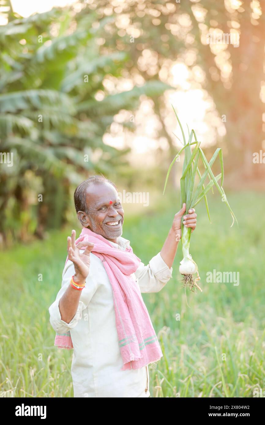 Onion harvesting modern agricultural hi-res stock photography and ...