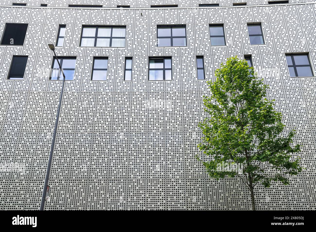 young tree in front of the facade of a multi-story car park at Magnus street, Cologne, Germany. junger Baum vor einer Parhausfassade an der Magnusstra Stock Photo