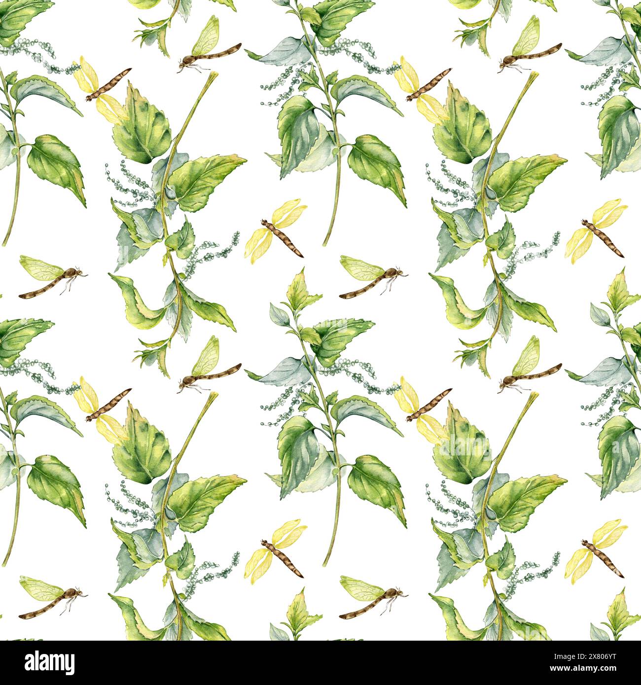 Nettle herbal plant with dragonfly seamless pattern isolated on white