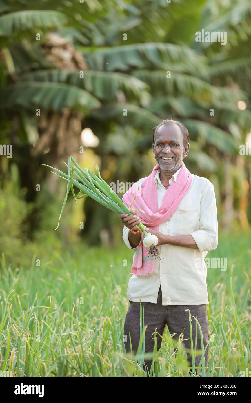 Onion harvesting modern agricultural hi-res stock photography and ...