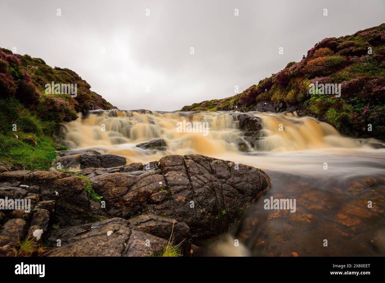 View of a creek with floating water thru nature Stock Photo