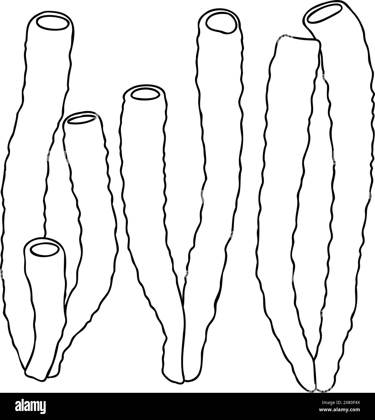 A set of sea underwater corals. Hand drawn vector linear doodle ...