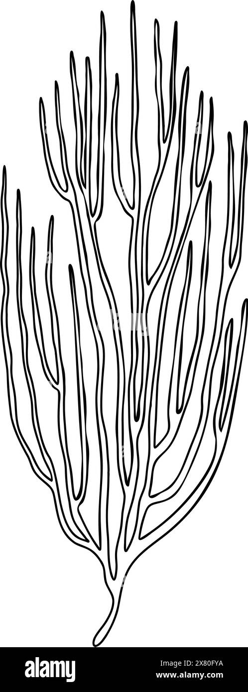 Sea fan coral reef underwater organizm. Hand drawn vector illustration