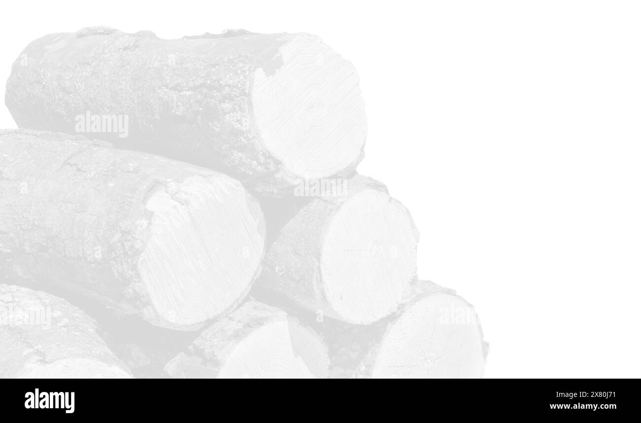 Freshly Cut Firewood Logs Piled Together On White Background In Daylight Stock Photo