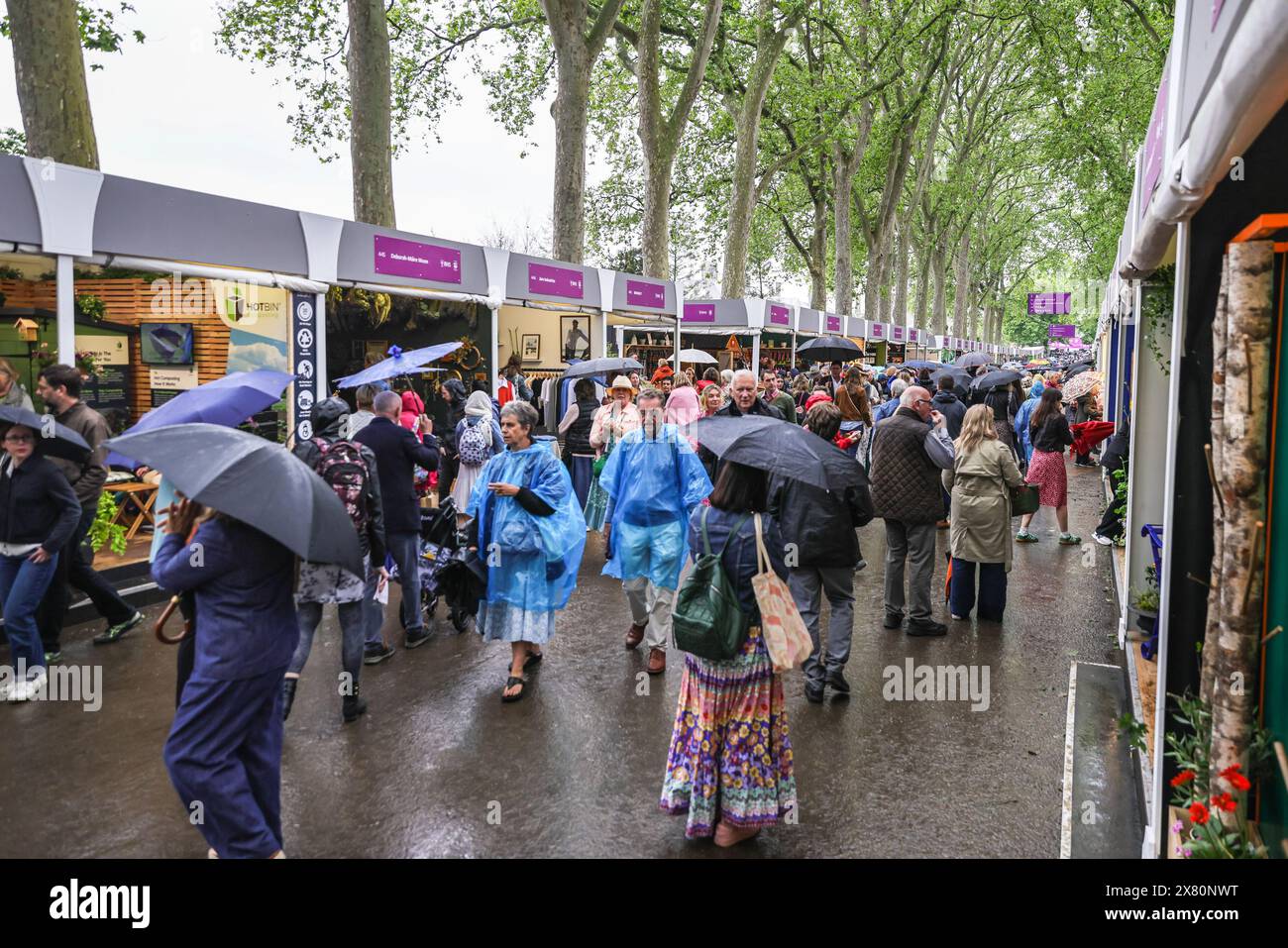 London, UK. 21st May, 2024. People with umbrellas stroll along Eastern Avenue with its exhibitors and shops. Following yesterday's press day with beautiful, warm sunshine throughout, today has been a lot of rain in the afternoon at Chelsea Flower Show, but visitors appear to have made the most it anyway. Credit: Imageplotter/Alamy Live News Stock Photo