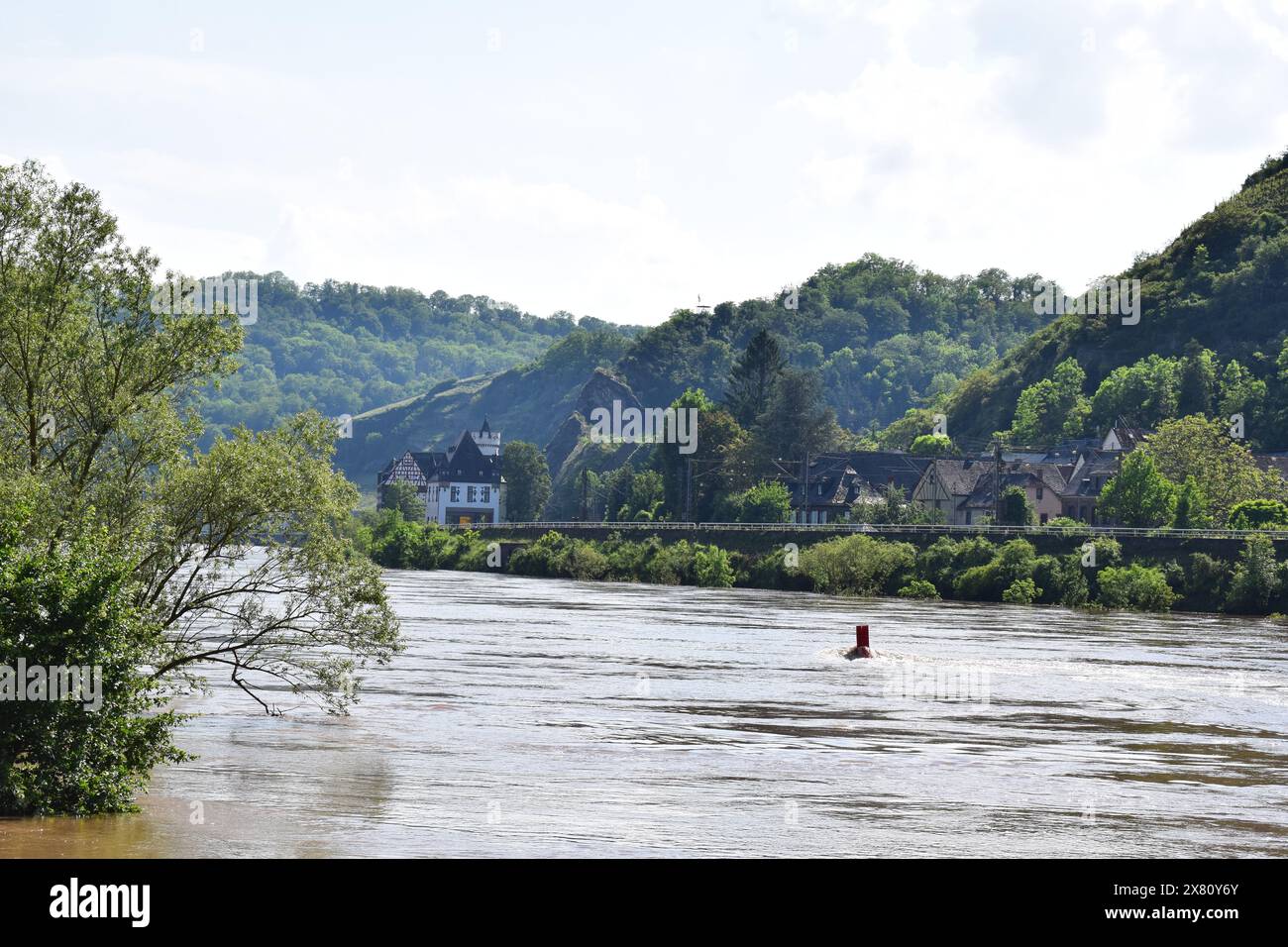 trees in the flood Stock Photo - Alamy