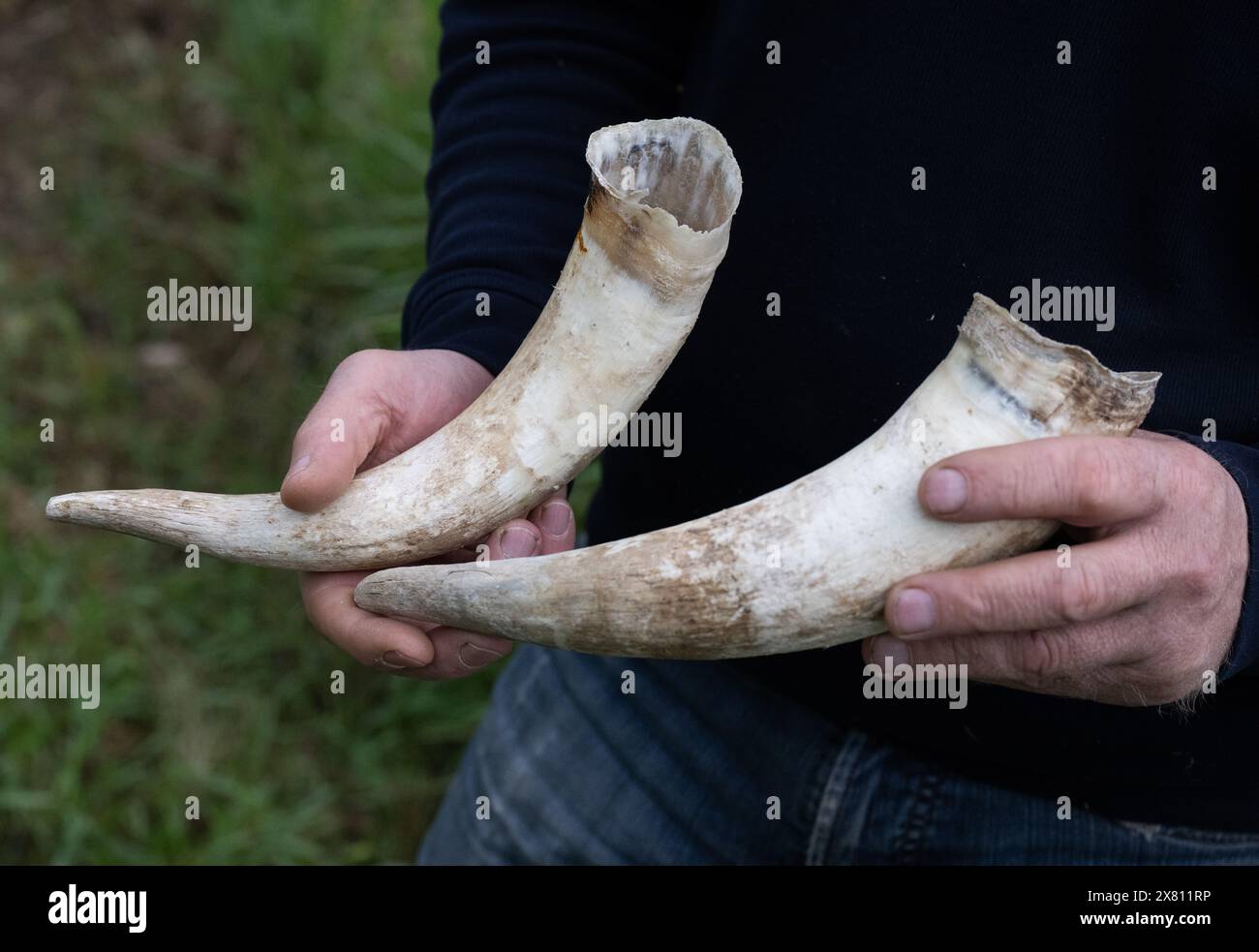 PRODUCTION 22 May 2024, Hesse, Hattenheim Winemaker Urban Kaufmann
