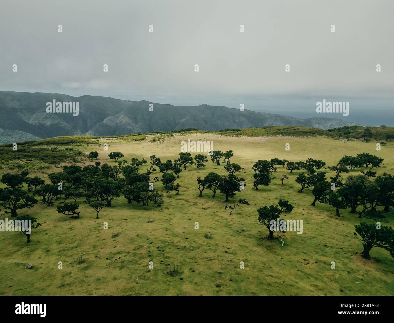 Aerial view fanal forest hi-res stock photography and images - Alamy