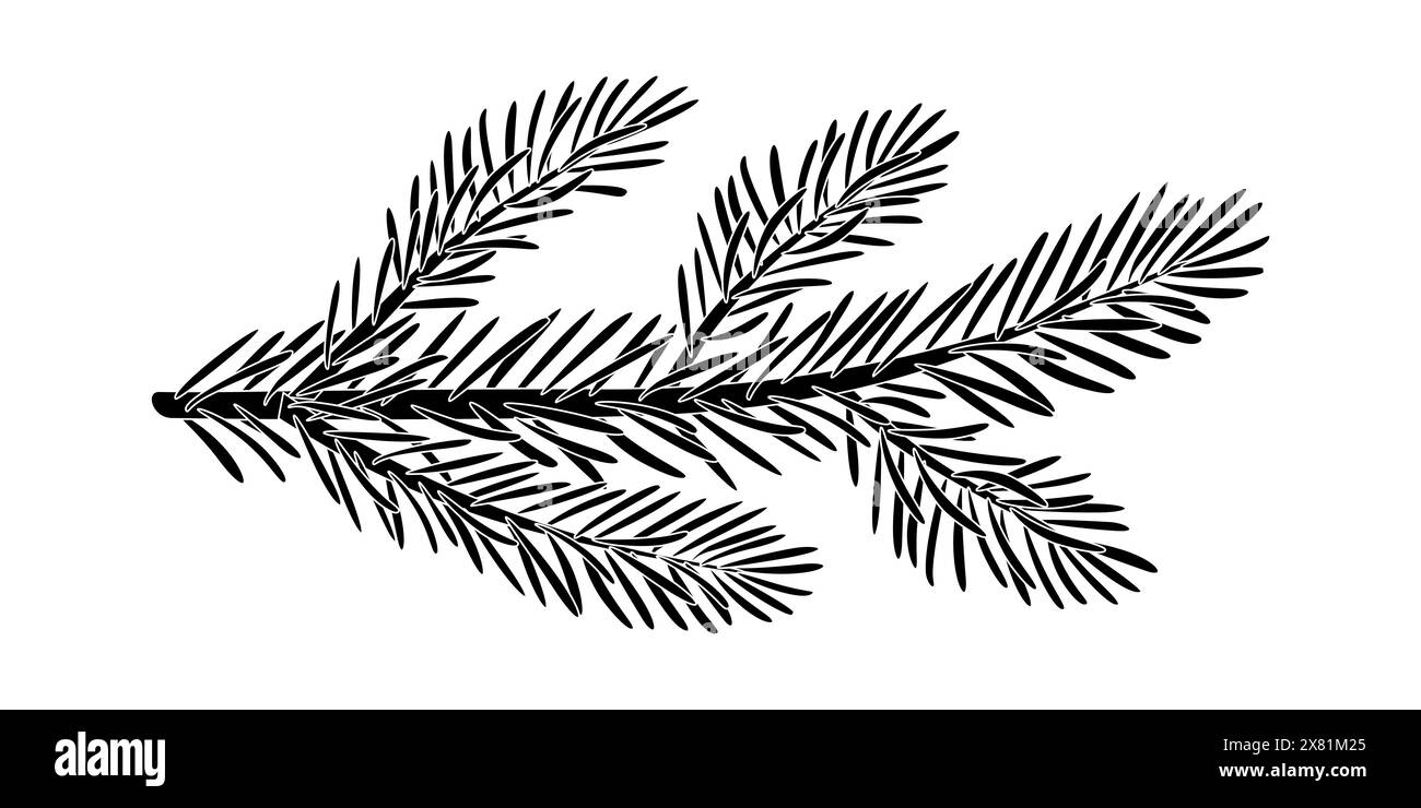 Christmas spruce branch silhouette. Larch, Pine, spruce branch, evergreen tree, fir, vector icon, winter plants, New Year wood, holiday decoration. Hand drawn black and white illustration. Stock Vector