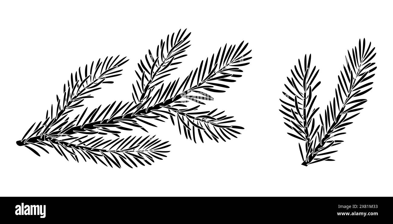 Christmas spruce branch silhouette set. Larch, Pine, spruce branch, evergreen tree, fir, vector icon, winter plants, New Year wood, holiday decoration. Hand drawn black and white illustration. Stock Vector