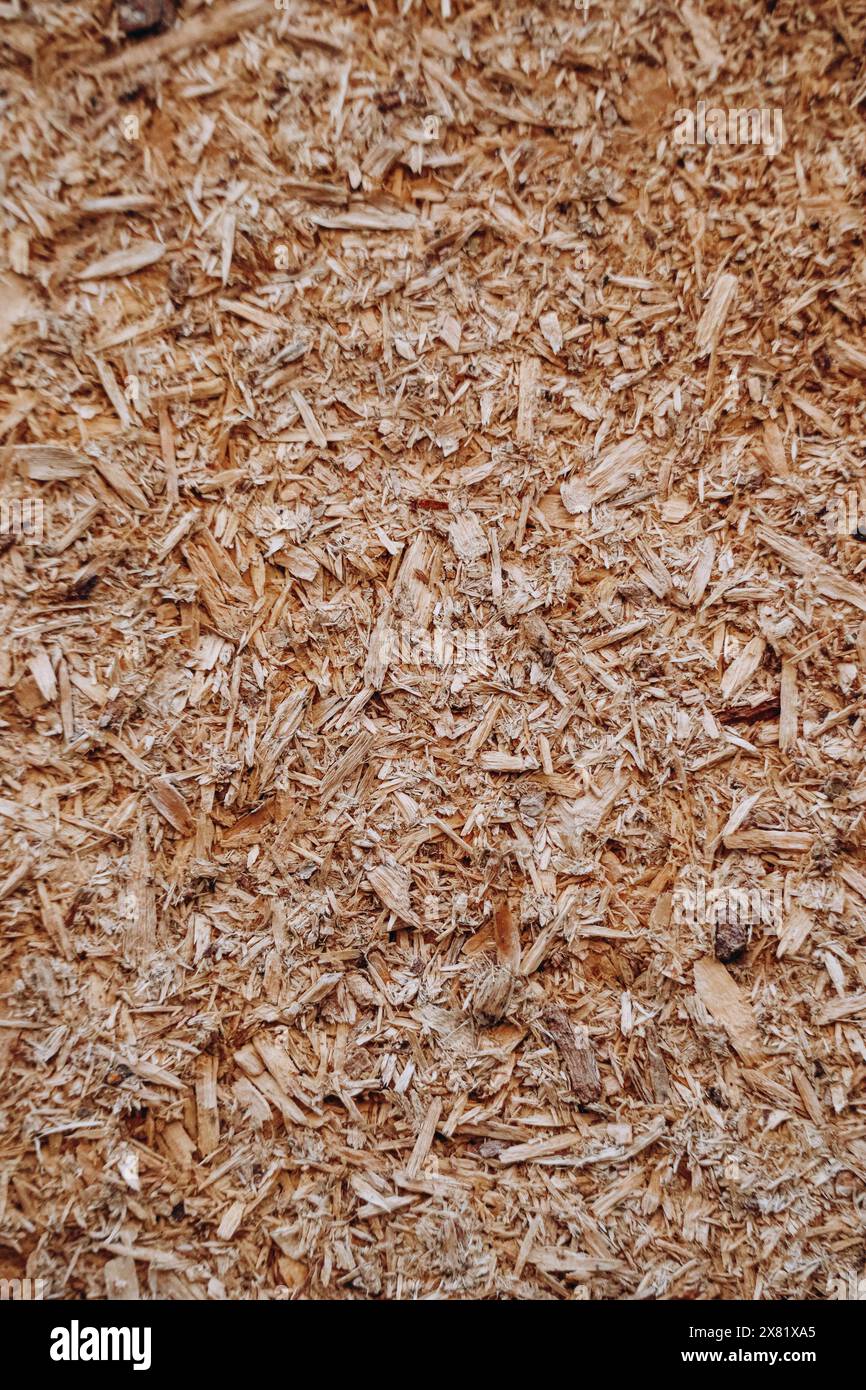 Close-up of chipboard wooden texture Stock Photo