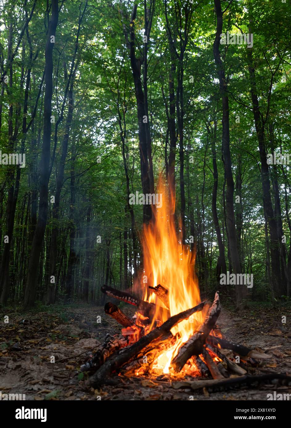 Dry wood burns bright flame hi-res stock photography and images - Alamy