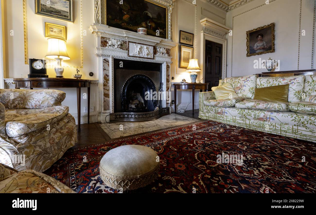 Picton Castle, The Rhos, Haverfordwest, Pembrokeshire, South Wales, Wales, UK - interior view of the White and Gold Sitting Room Stock Photo