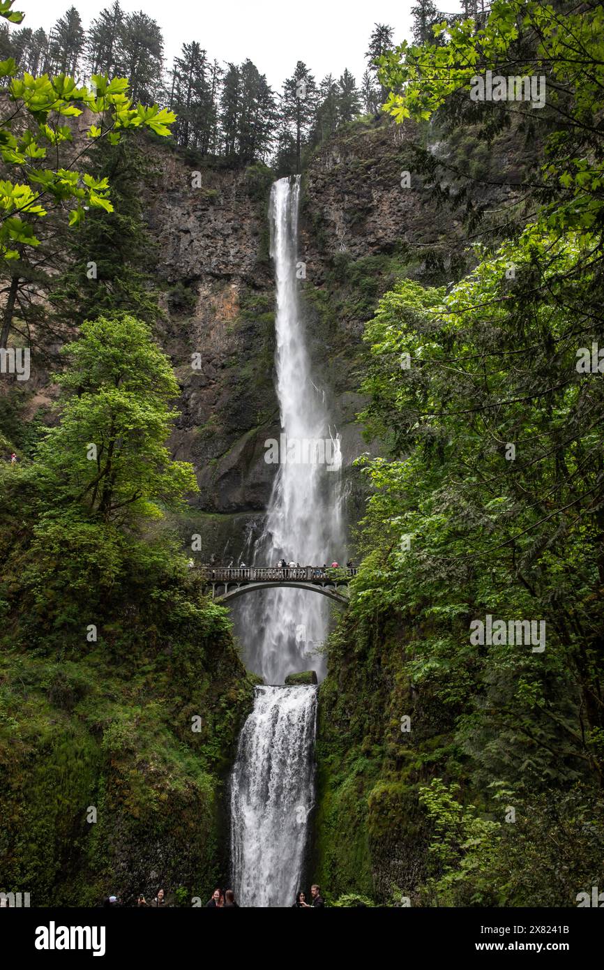 Multnomah Falls, a breathtaking 620-foot waterfall, cascades down in the Columbia River Gorge along Historic Highway 30, just outside Portland, Oregon Stock Photo