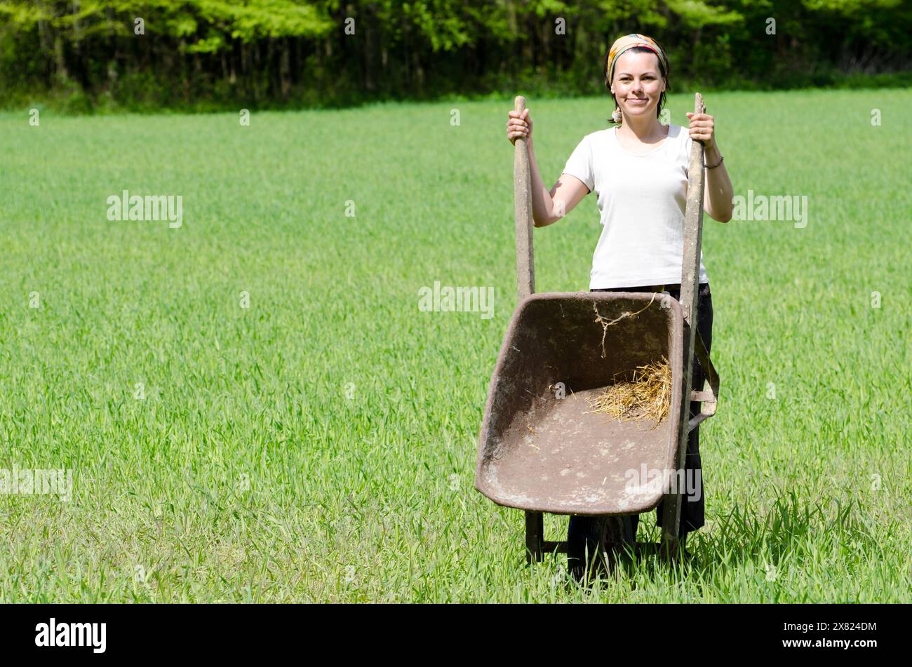 Woman with a Wheelbarrow on the Green Field with Grass Stock Photo - Alamy