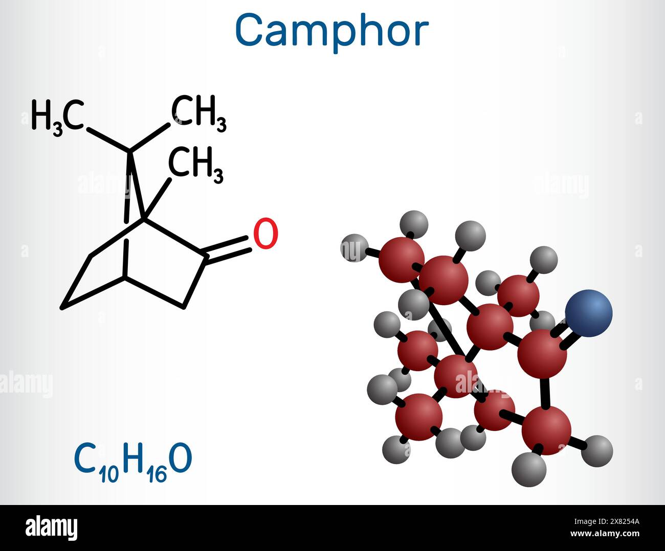 Camphor molecule. It is terpenoid and a cyclic ketone. Structural ...