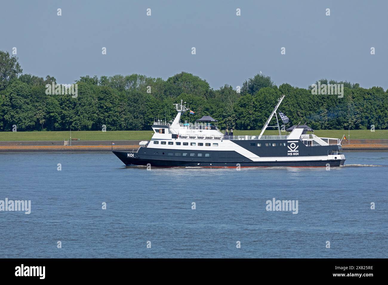 Ship, MS Koi, Brunsbüttel, Schleswig-Holstein, Germany Stock Photo