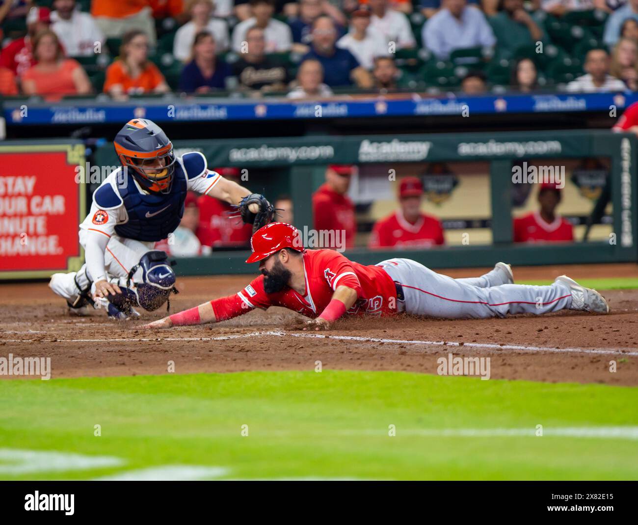 Houston, Texas, USA. 22nd May, 2024. Angles second baseman LUIS GUILLORME (15) slides home during Tuesdays game, at Minute Maid Park, in Houston, Texas. (Credit Image: © Domenic Grey/ZUMA Press Wire) EDITORIAL USAGE ONLY! Not for Commercial USAGE! Stock Photo