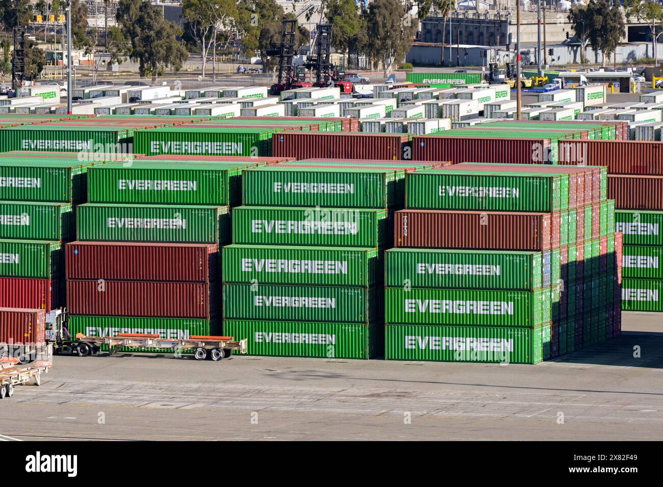 Los Angeles, California, USA 12 January 2024 Stacks of Evergreen
