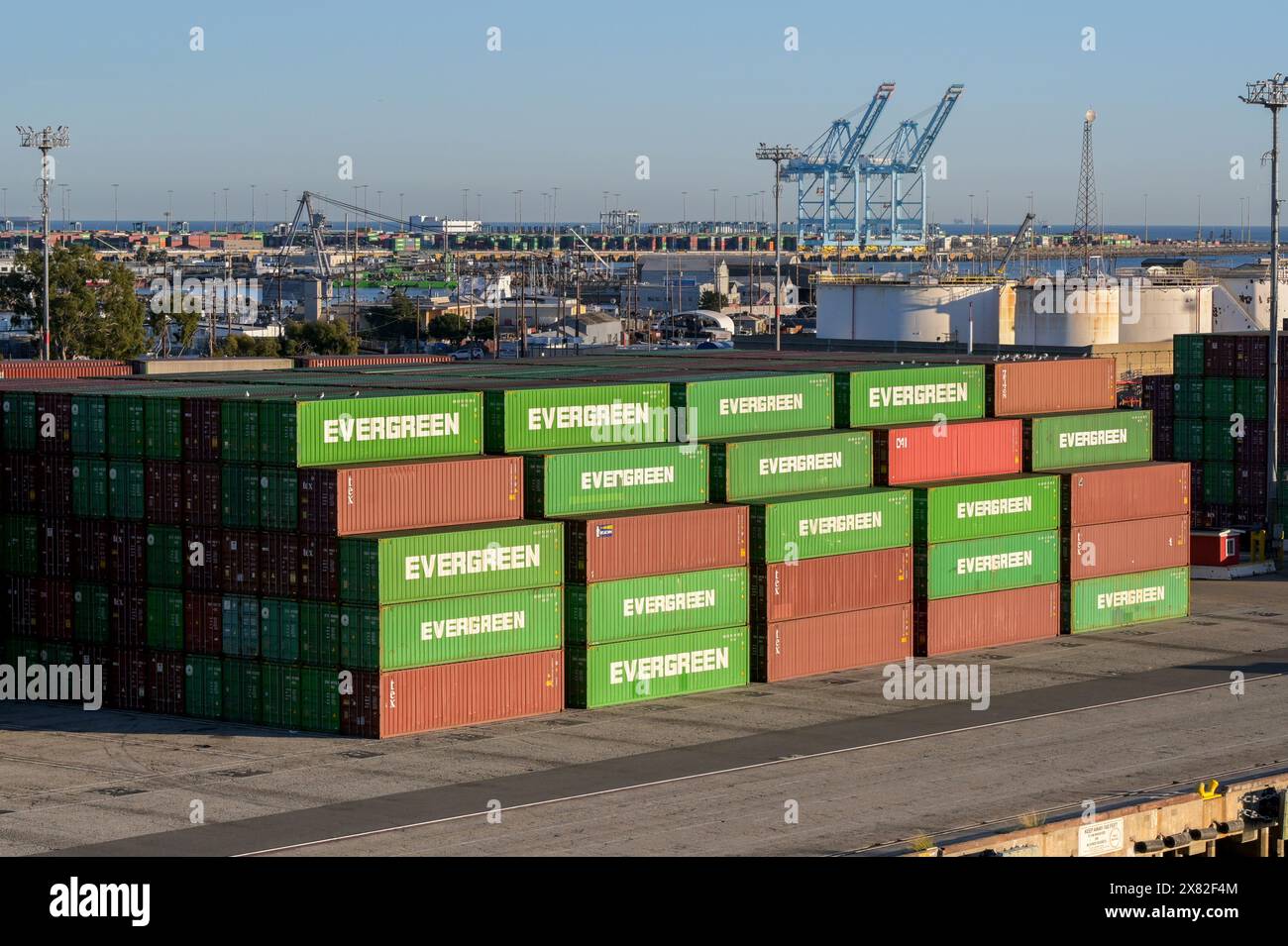 Los Angeles, California, USA 12 January 2024 Stacks of Evergreen