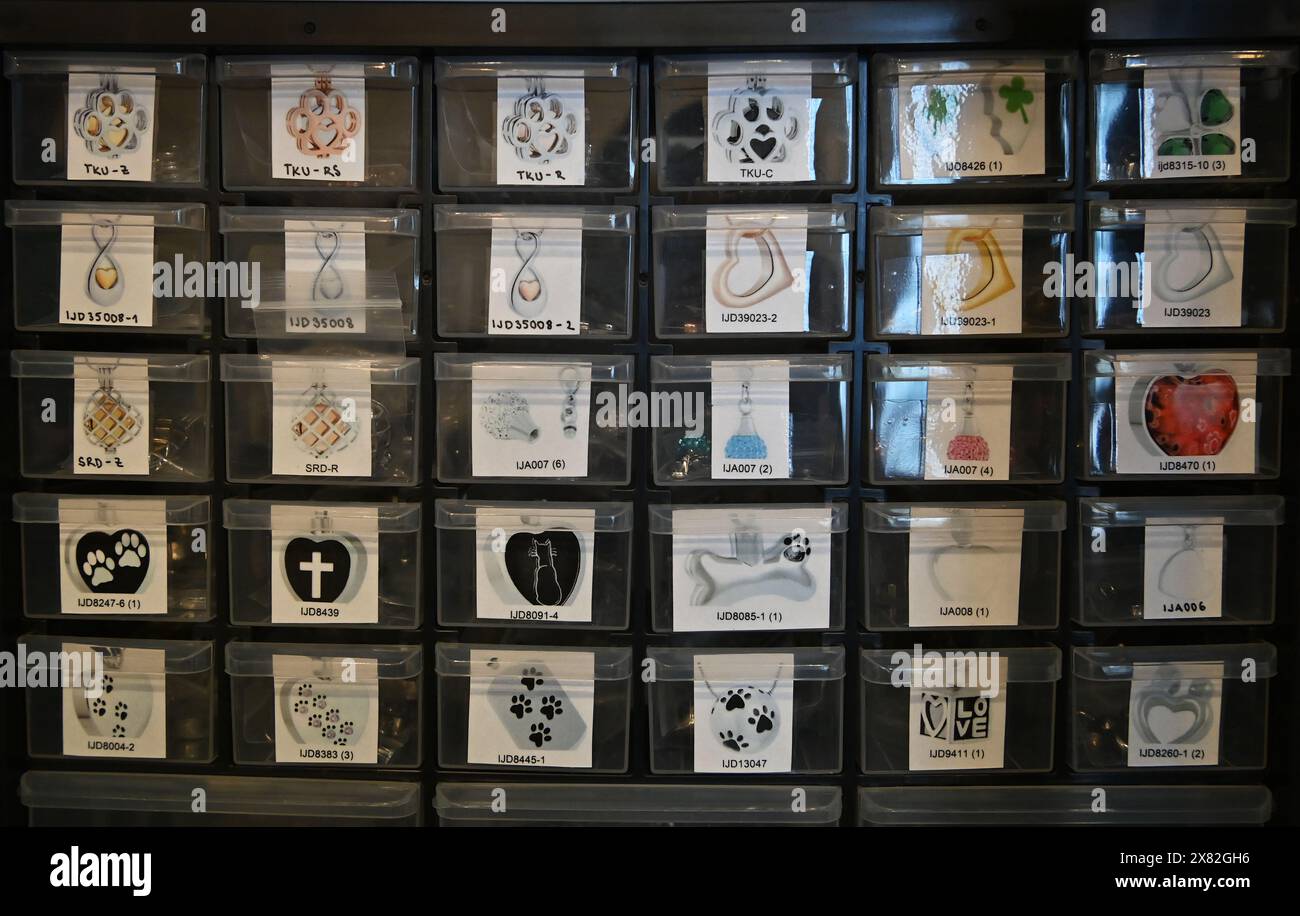 Illustration of Mainly For Dogs